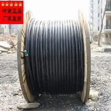 廣州嶺南電纜股份 電氣設備用電纜產(chǎn)品與計算機軟硬件技術開發(fā)綜述