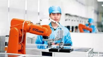 機(jī)器人課程內(nèi)容概覽 聚焦計(jì)算機(jī)軟硬件技術(shù)的開(kāi)發(fā)與應(yīng)用